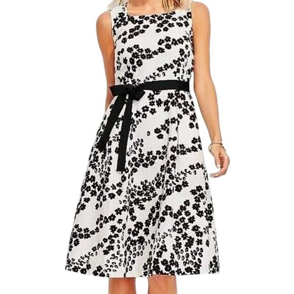 Talbots Floral A Line Dress Tie Waist Daisy Print Cotton White Black 12 NWT - Picture 1 of 6